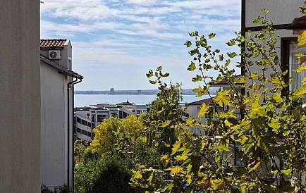 ID 16624 Zweizimmerwohnung in Compass Foto 7