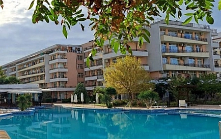 ID 15184 Гранд Камелия Foto 6