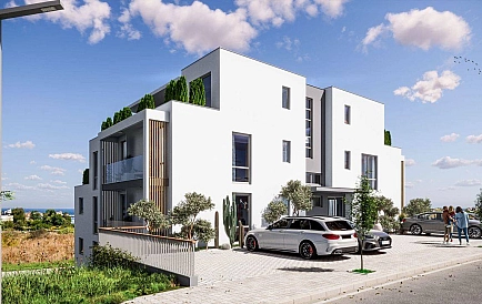 ID 14800 Маэстра Сол Foto 2