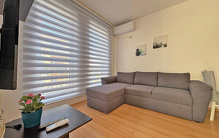 ID 14749 Санни Дей 6 Foto 1 