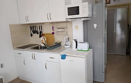 ID 15184 Гранд Камелия Foto 2