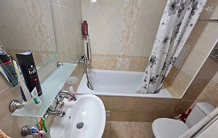 ID 15151 Гербер 4 Foto 4