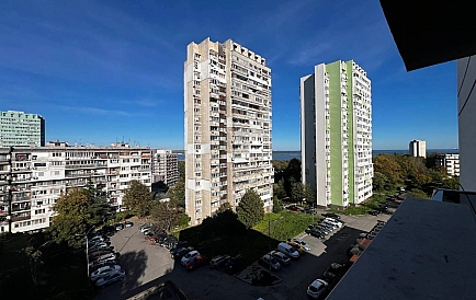 ID 14761 Зорница Foto 5