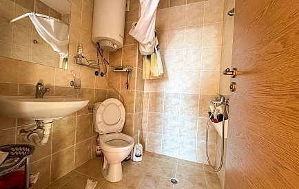 ID 14868 Санни Дей 6 Foto 4