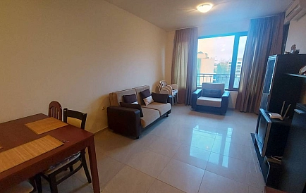 ID 14981 Сан Флауер Foto 7