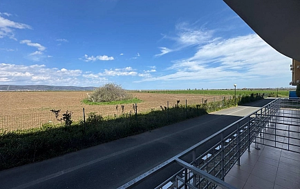 ID 15435 Санни Дей 5 Foto 7