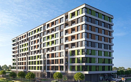 ID 14873 Смокините 5 Foto 6