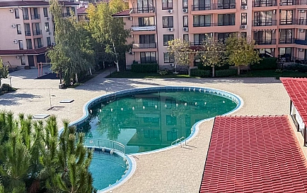 ID 14818 Стар Дриймс Foto 6