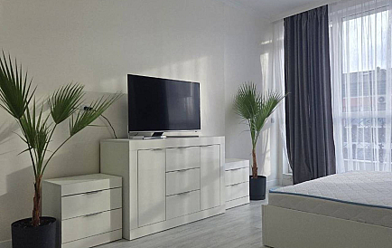 ID 15165 Studio-Apartment in Magnolia 7 Foto 1 