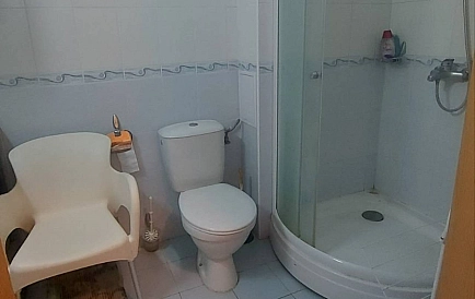 ID 14981 Сан Флауер Foto 5