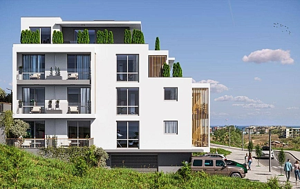 ID 14800 Маэстра Сол Foto 3