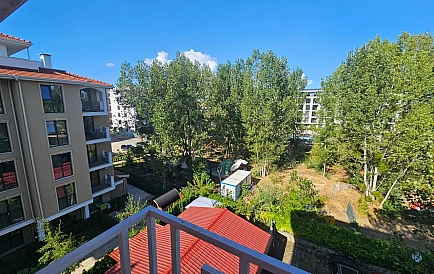 ID 15151 Гербер 4 Foto 5