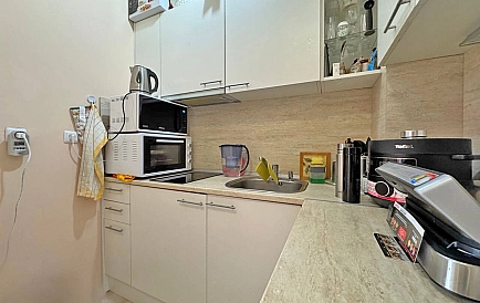 ID 15498 Месембрия Палас Foto 2