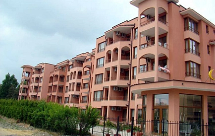 ID 14981 Сан Флауер Foto 6