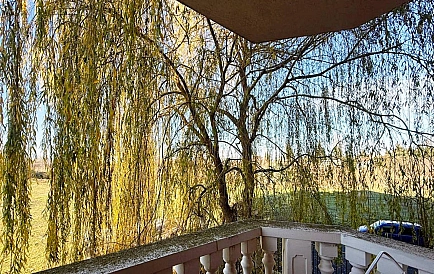 ID 15341 Zweizimmerwohnung in Sea Diamond Foto 5