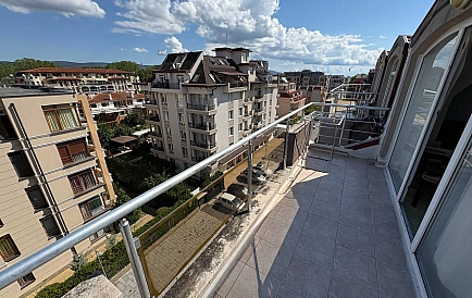 ID 15488 Стелла Полярис Foto 5