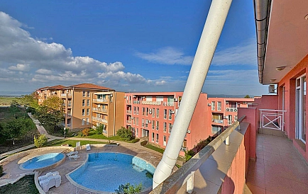 ID 14780 Санни Дей 6 Foto 5