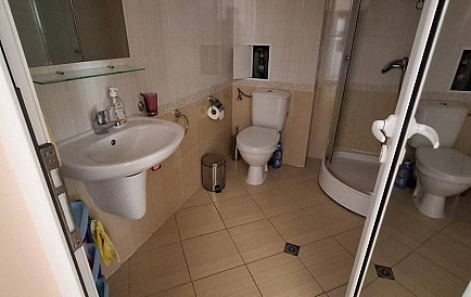 ID 15701 Меджик Дримс Foto 4