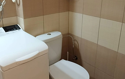 ID 15184 Гранд Камелия Foto 7