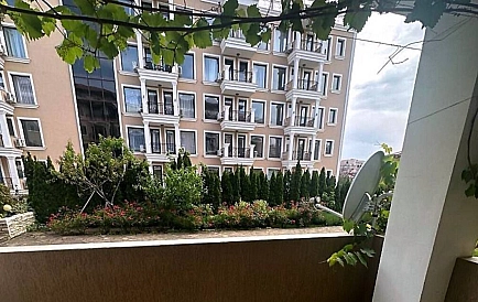 ID 15535 Zweizimmerwohnung in Domus Extra Foto 8