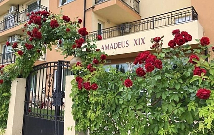 ID 14569 Studio-Apartment in Amadeus 19 Foto 7