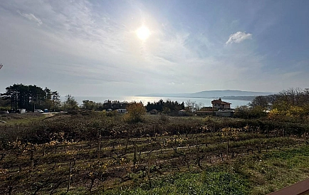 ID 14861 Аспро Марина Foto 7