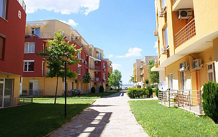 ID 15253 Санни Дей 5 Foto 10