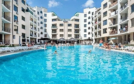 ID 14875 Авалон Foto 6