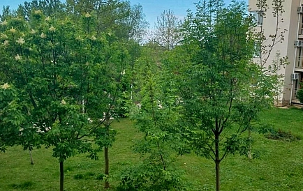 ID 14896 Несебр Форт Foto 9