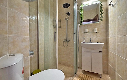 ID 14920 Санни Дей 6 Foto 4