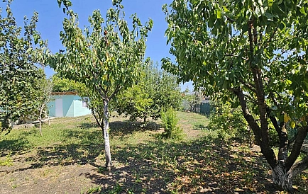 ID 14348 Haus in Trystikovo Foto 10