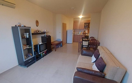 ID 14981 Сан Флауер Foto 2