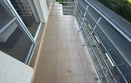 ID 15435 Санни Дей 5 Foto 9