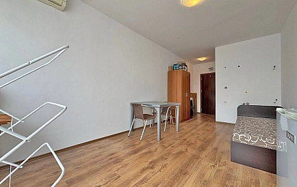 ID 15335 Гербер 4 Foto 7