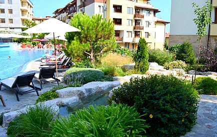 ID 16026 Studio-Apartment im Garden of Eden Foto 10