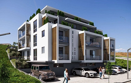 ID 14800 Маэстра Сол Foto 6