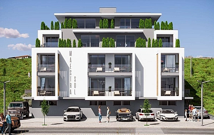 ID 14800 Маэстра Сол Foto 4