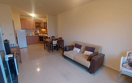 ID 14981 Сан Флауер Foto 3