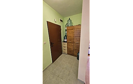 ID 15594 Гардения Foto 9