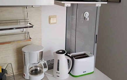 ID 15184 Гранд Камелия Foto 10