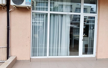 ID 15184 Гранд Камелия Foto 5