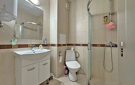 ID 15660 Голден Дримс Foto 4