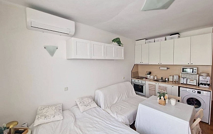 ID 16119 Studio-Wohnung in Sveta Elena Foto 3
