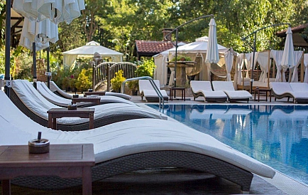 ID 14789 Studio-Apartment in Green Paradise 5 Foto 10