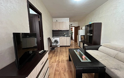 ID 15015 Гербер 4 Foto 7