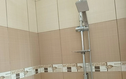 ID 15184 Гранд Камелия Foto 8