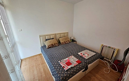 ID 15151 Гербер 4 Foto 3