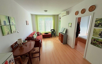 ID 15253 Санни Дей 5 Foto 3