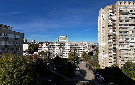 ID 14761 Зорница Foto 6