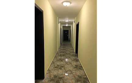 ID 3720 Green Paradise 4 Foto 5